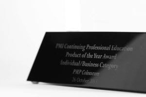 pmi award 2007